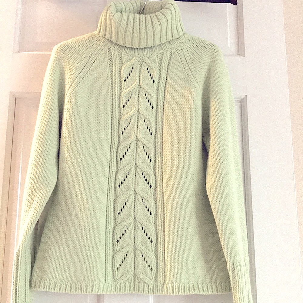 Anne Taylor Loft  Turtle neck sweater
